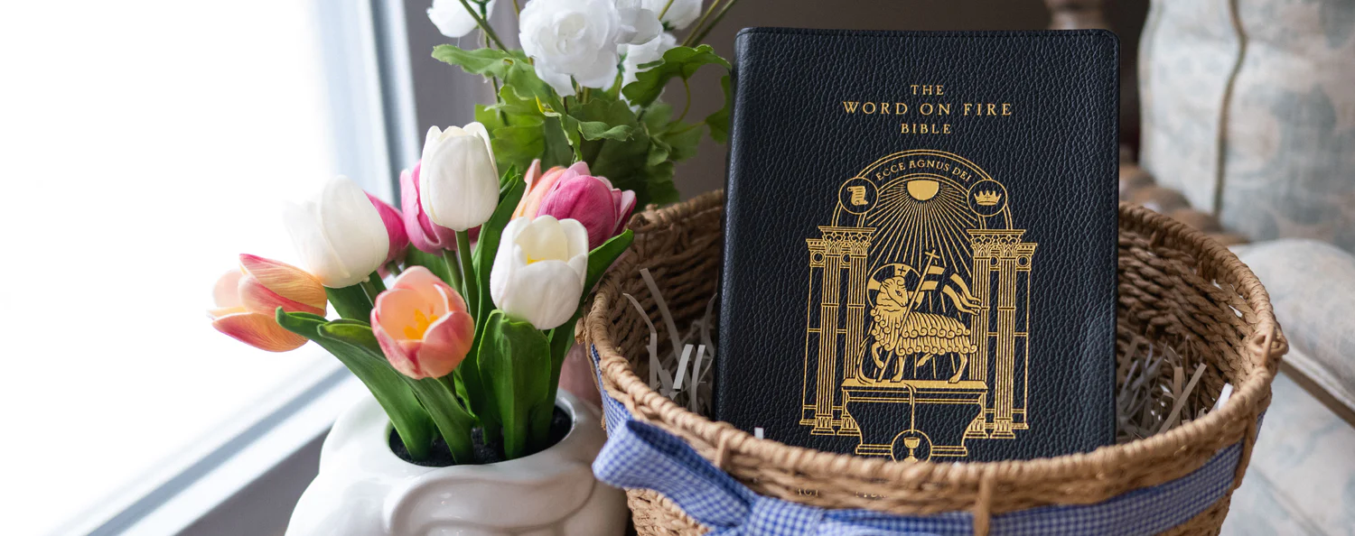 Evangelize the Culture with Beauty