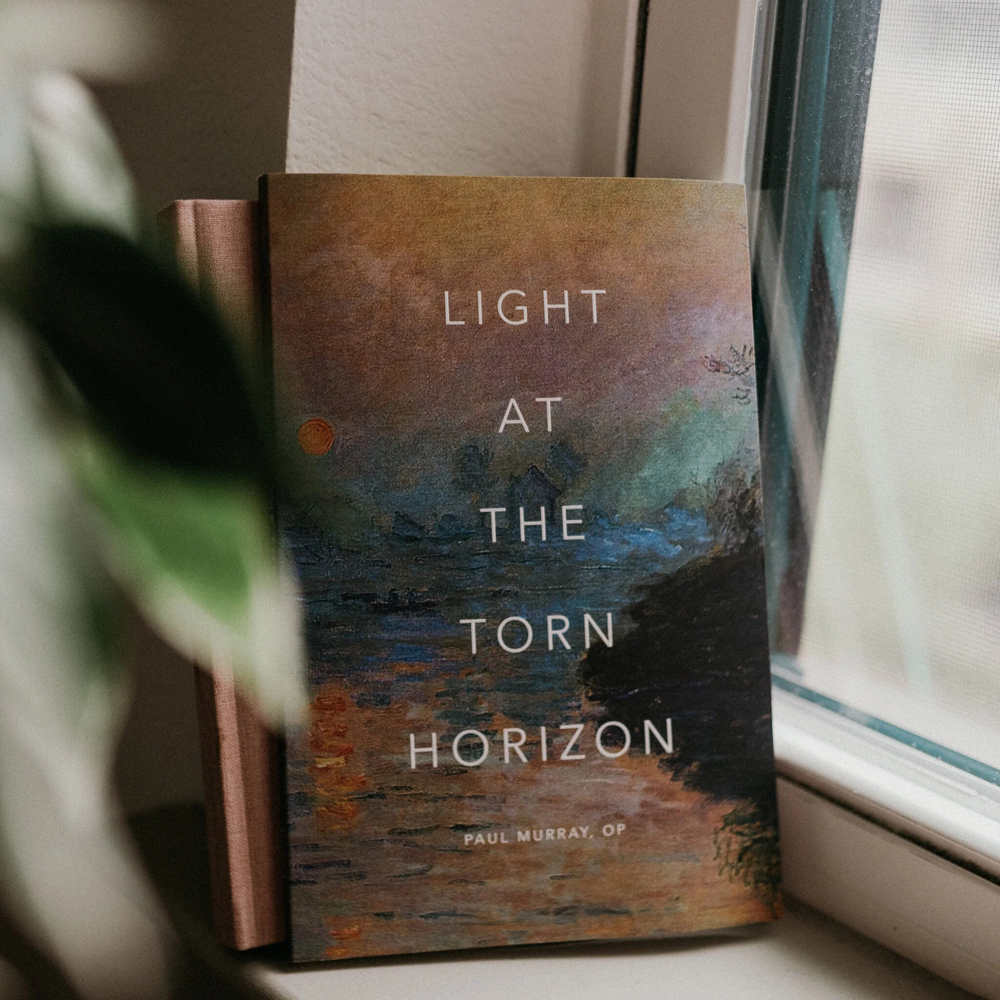 Light at the Torn Horizon - Image 4