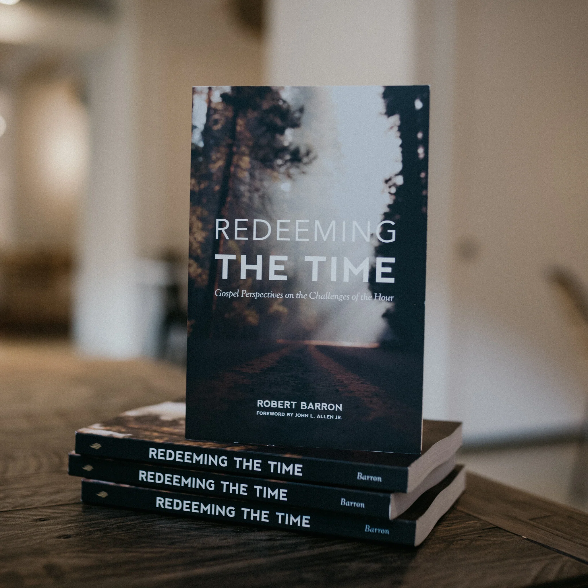 Redeeming the Time - Image 4