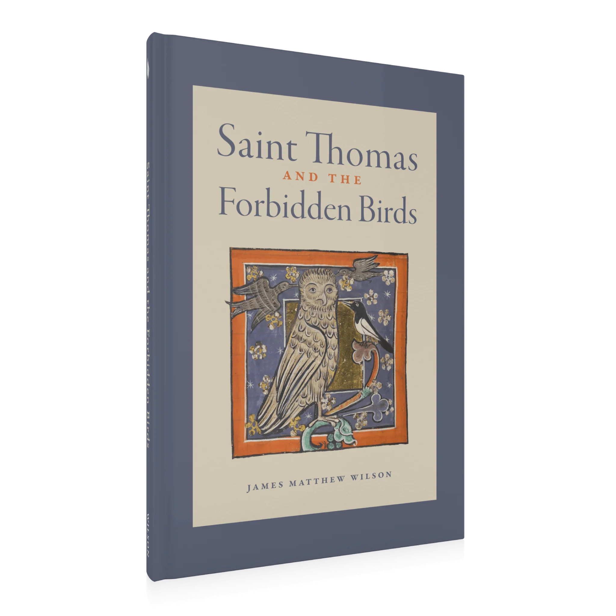 Saint Thomas and the Forbidden Birds - Image 2