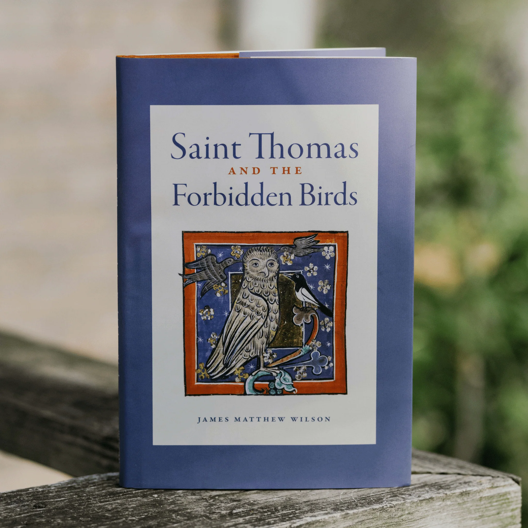 Saint Thomas and the Forbidden Birds - Image 3