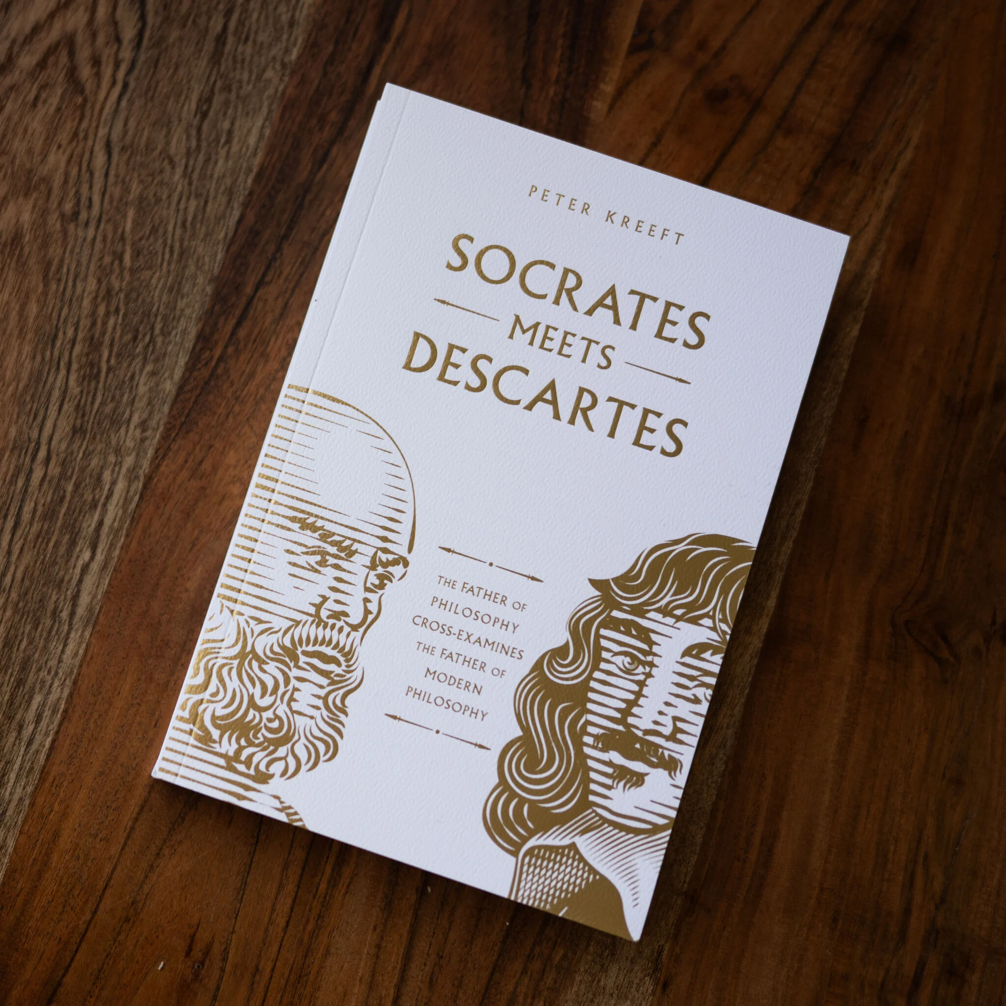Socrates Meets Descartes - Image 3