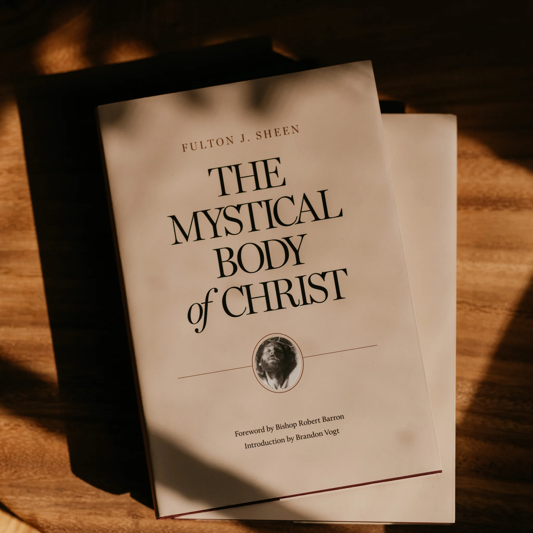 The Mystical Body of Christ - Image 3