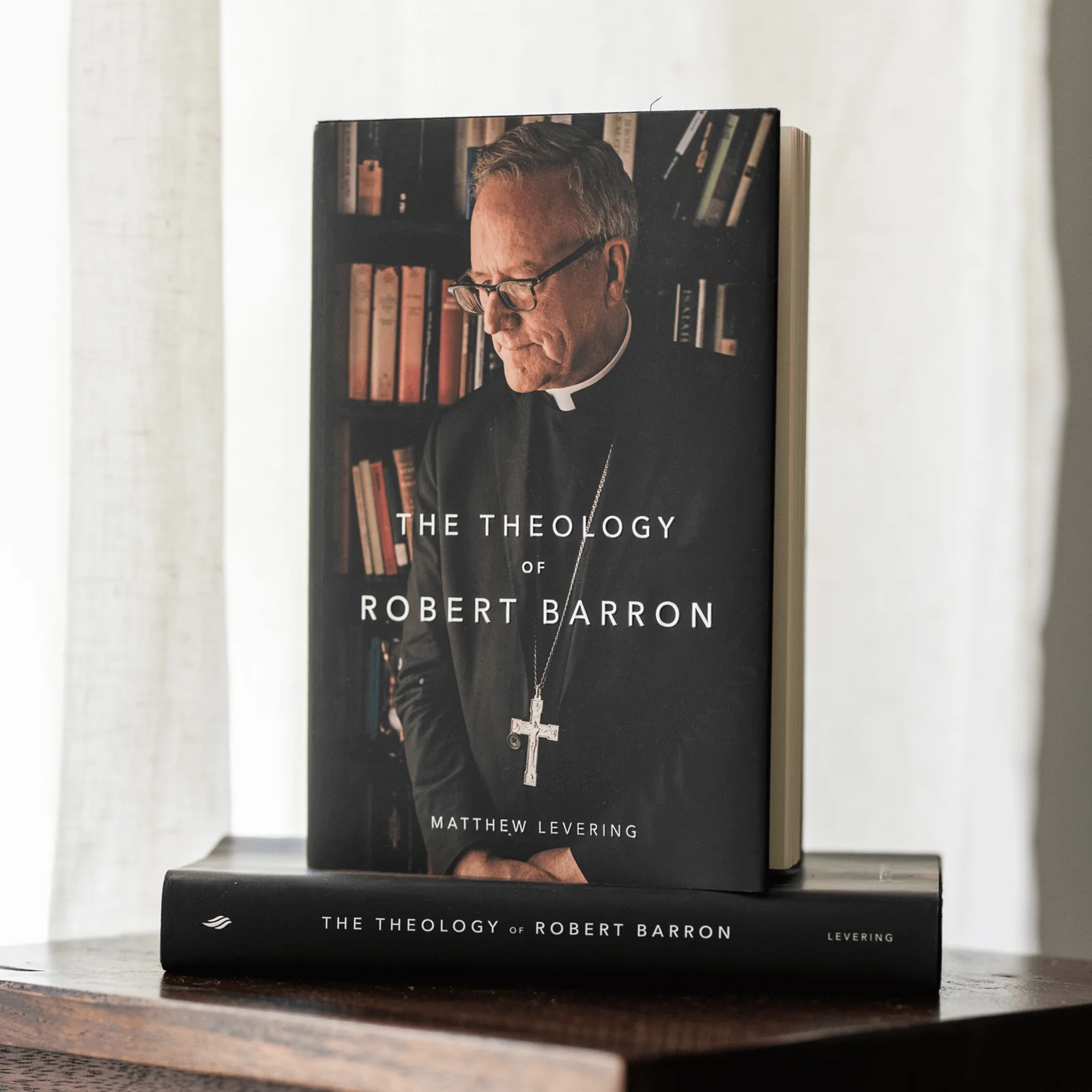 The Theology of Robert Barron - Image 3