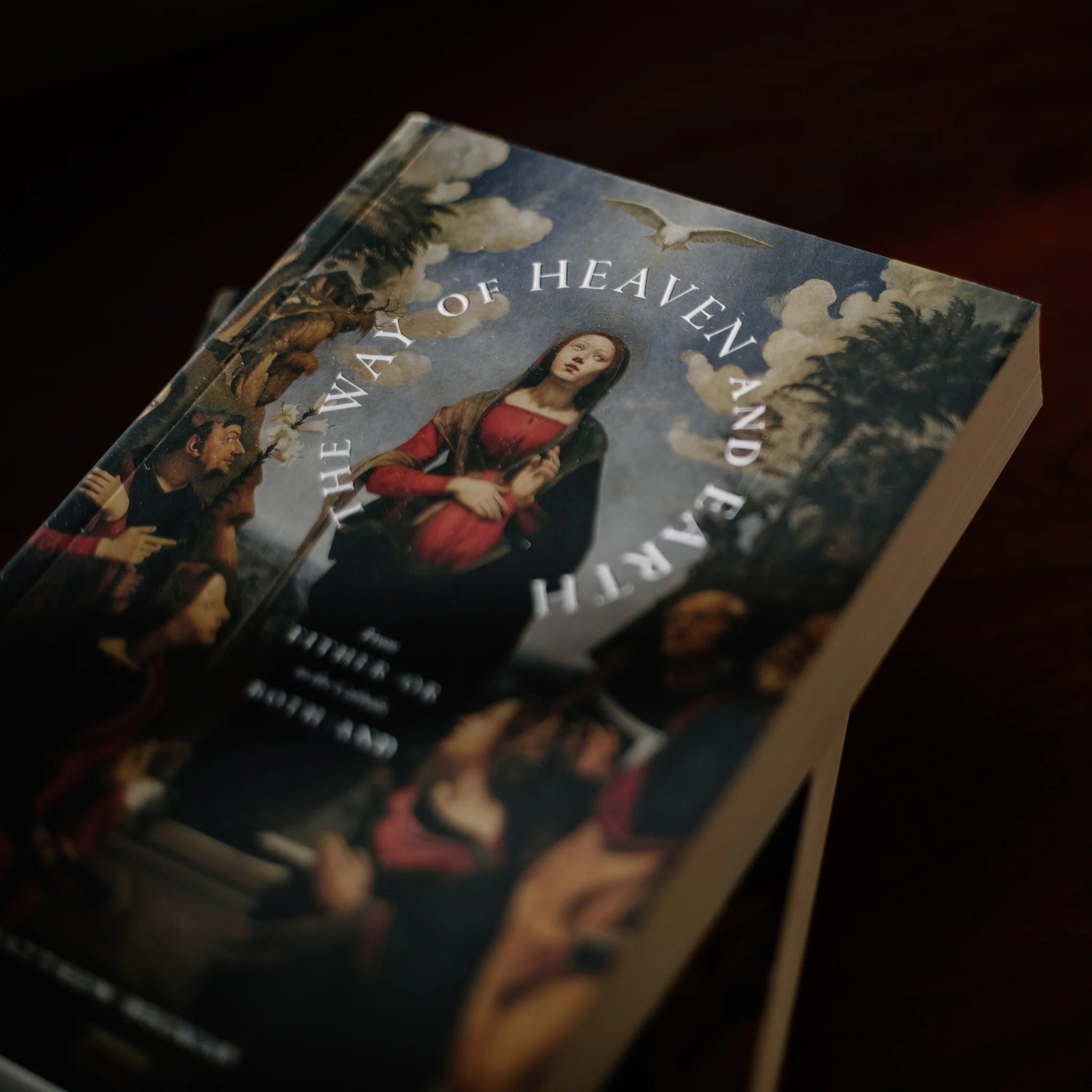 The Way of Heaven and Earth - Image 4