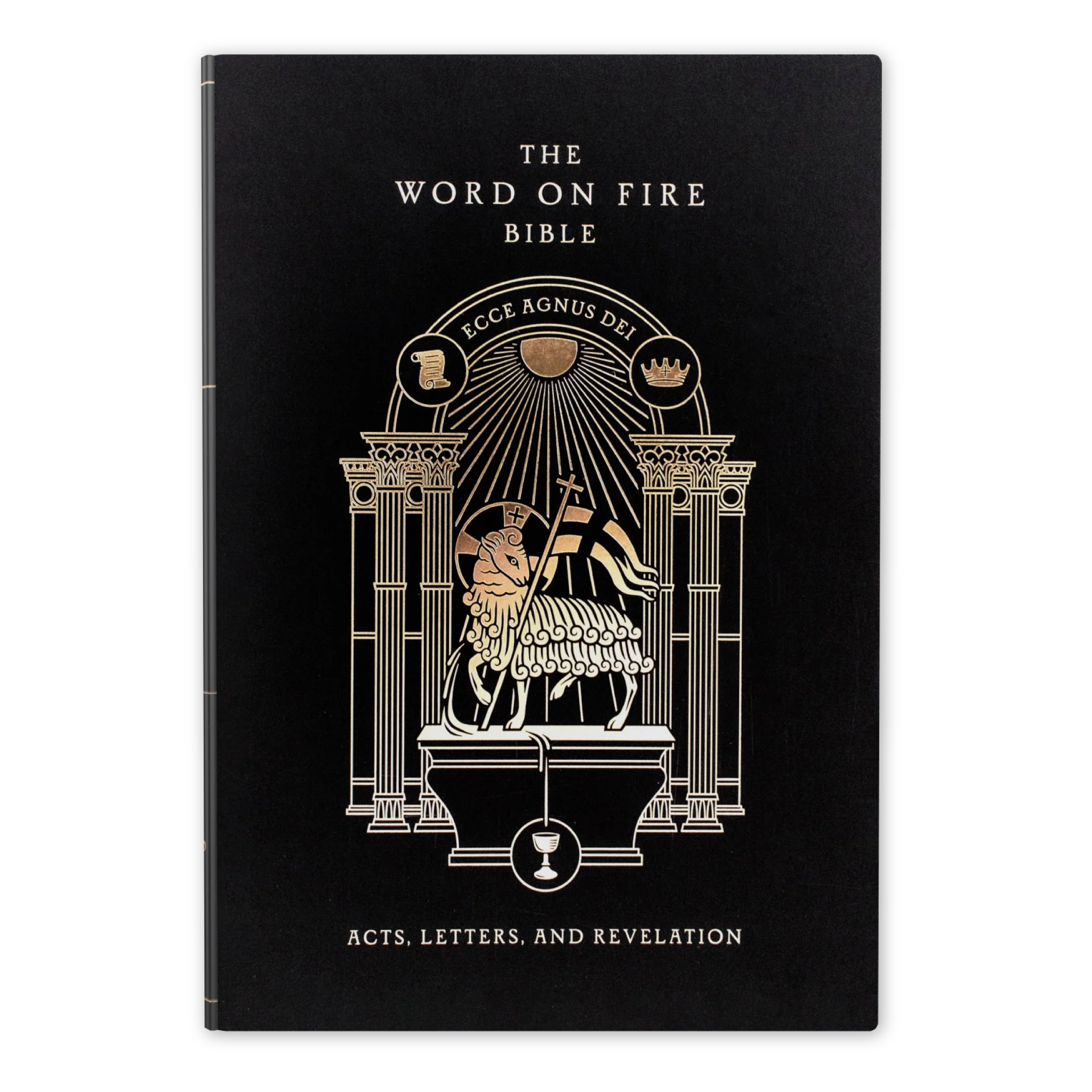 The Word on Fire Bible (Volume II): Acts, Letters and Revelation - Image 11