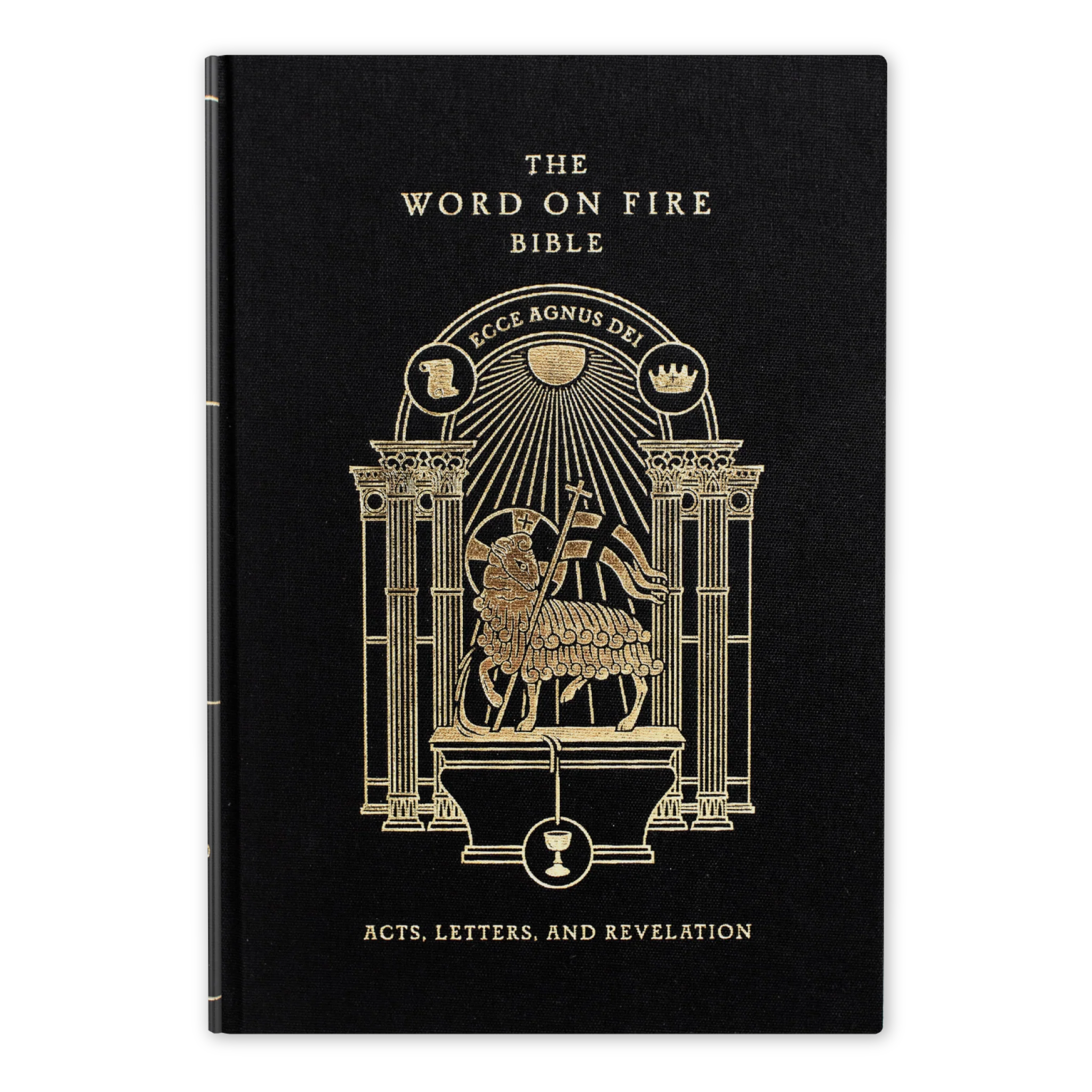 The Word on Fire Bible (Volume II): Acts, Letters and Revelation - Image 9