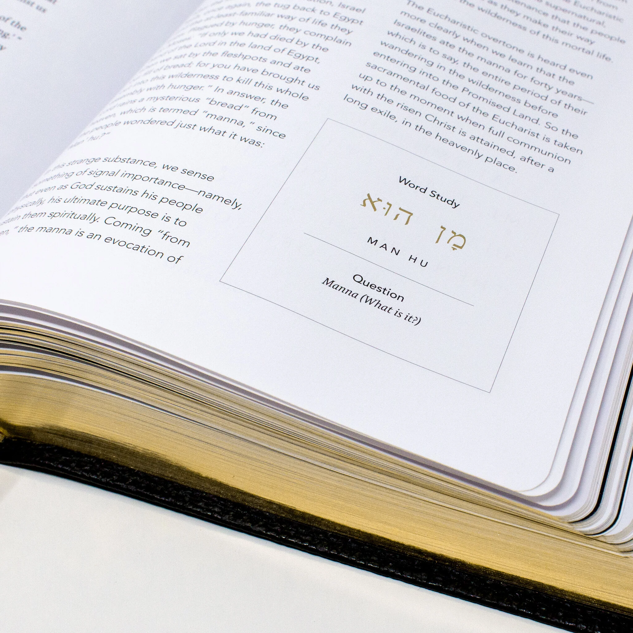 The Word on Fire Bible (Volume III): The Pentateuch - Image 6