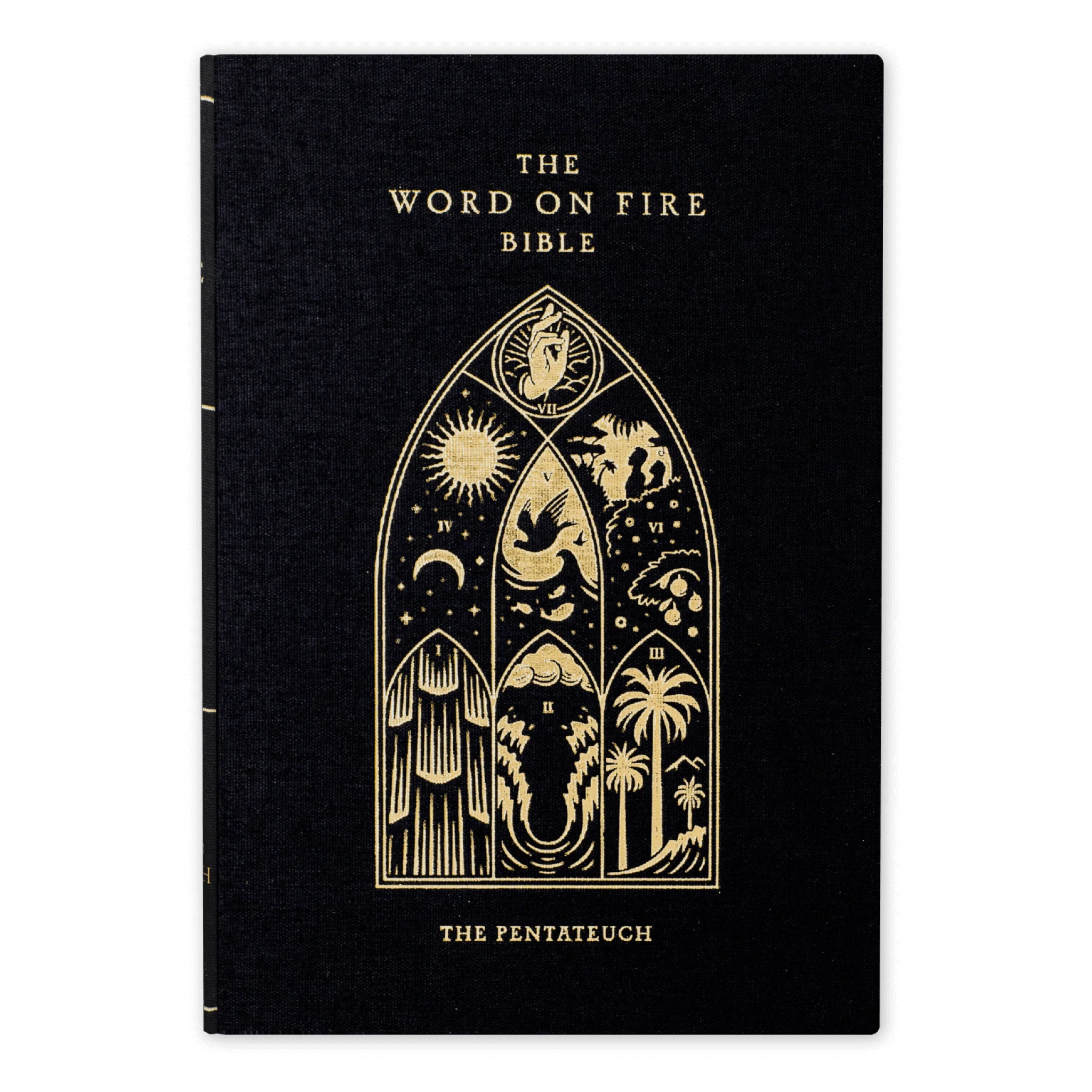 The Word on Fire Bible (Volume III): The Pentateuch - Image 8