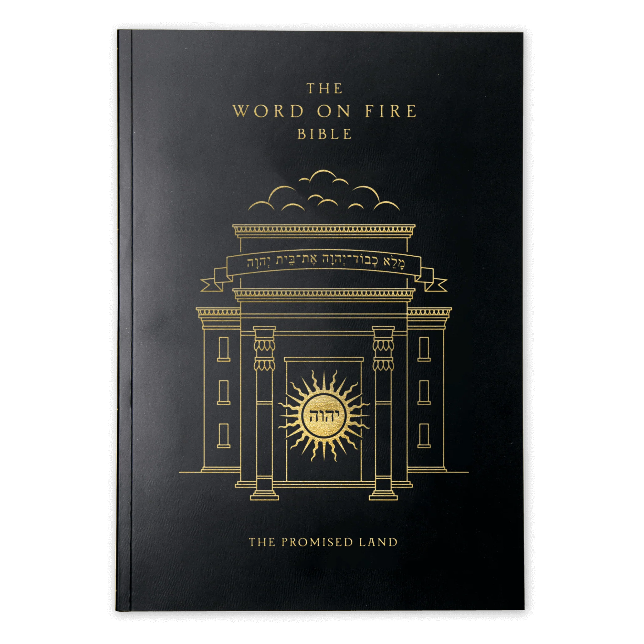 The Word on Fire Bible (Volume IV): The Promised Land - Image 10