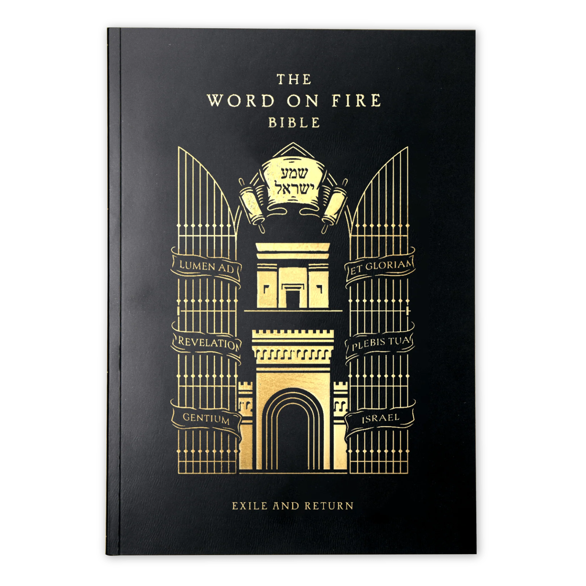 The Word on Fire Bible (Volume V): Exile and Return - Image 15