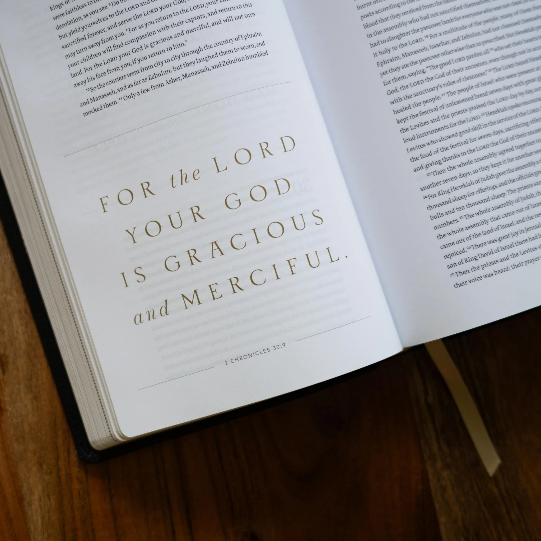 The Word on Fire Bible (Volume V): Exile and Return - Image 5