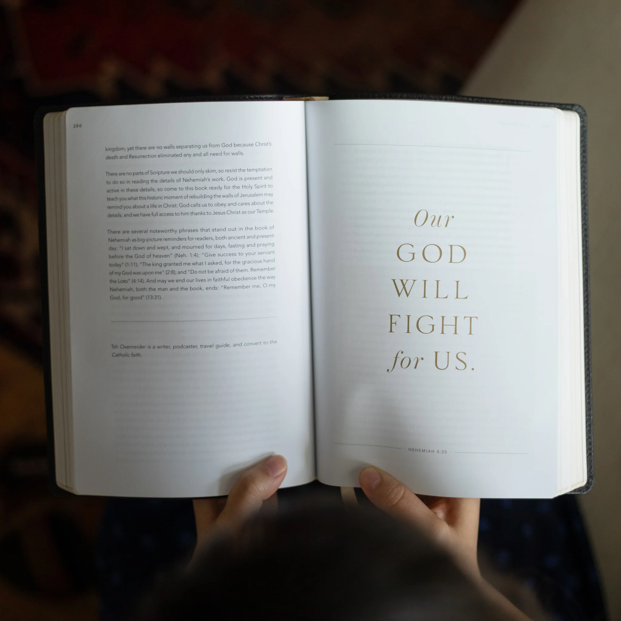 The Word on Fire Bible (Volume V): Exile and Return - Image 8