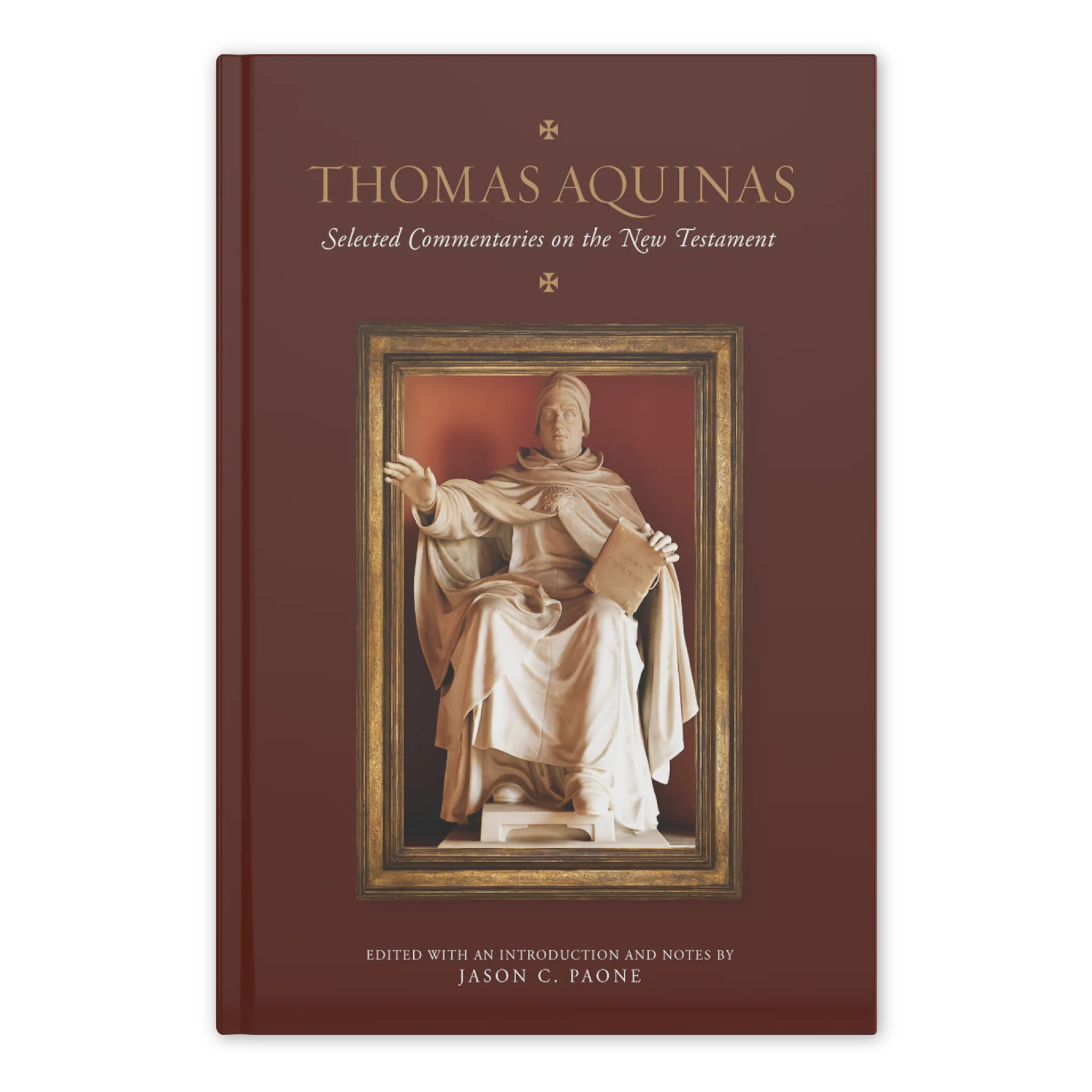 Thomas Aquinas Selected Commentaries Bundle - Image 8