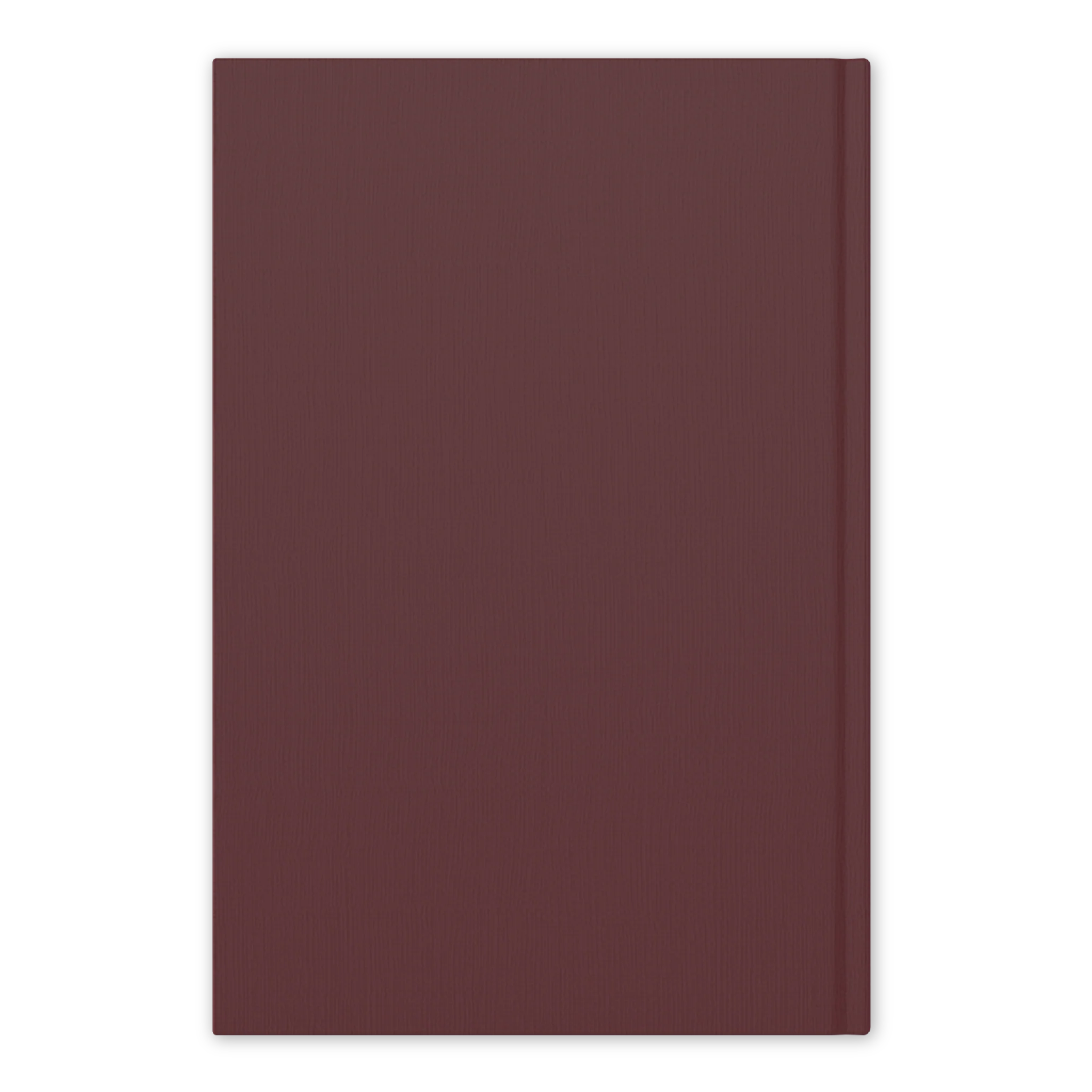 The Word on Fire Vatican II Collection: Constitutions - Image 4