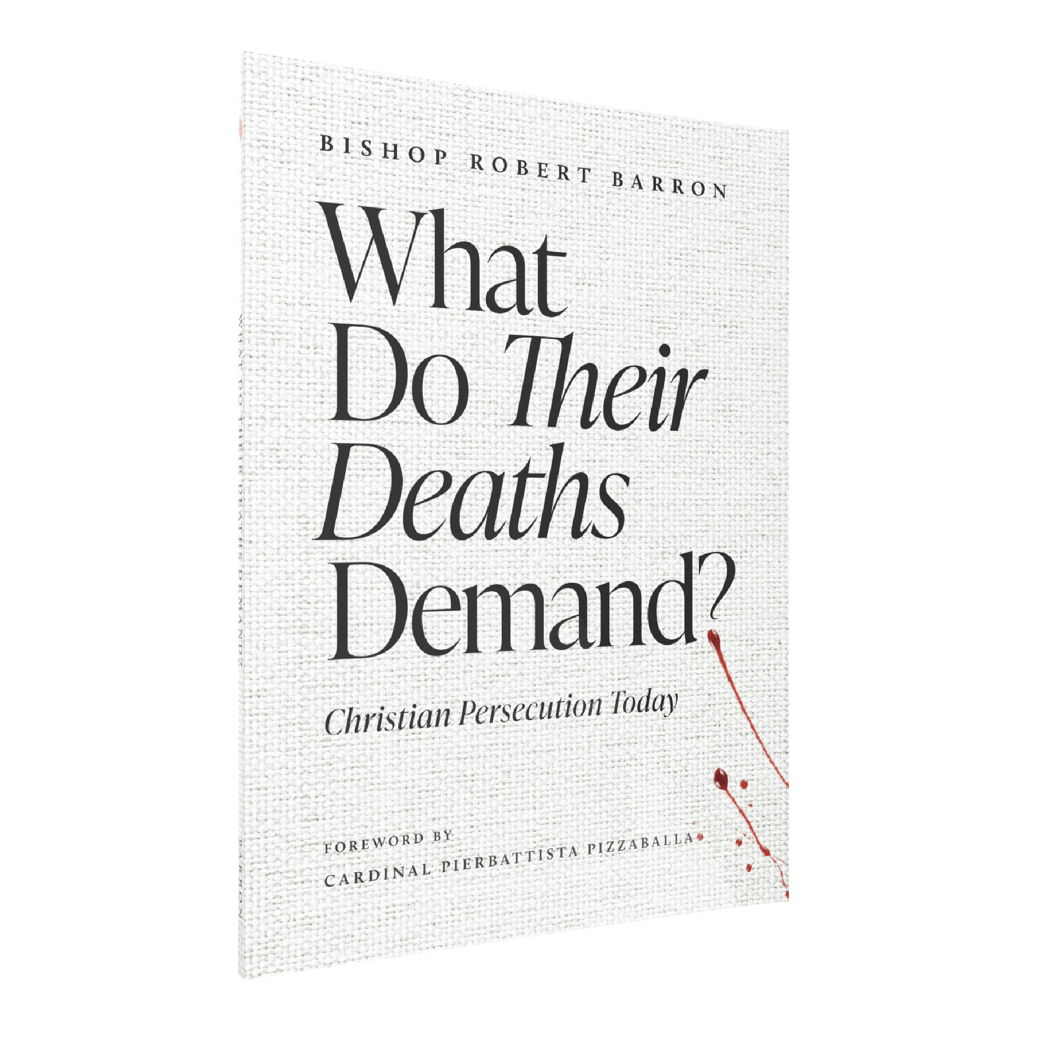 What Do Their Deaths Demand? - Image 6
