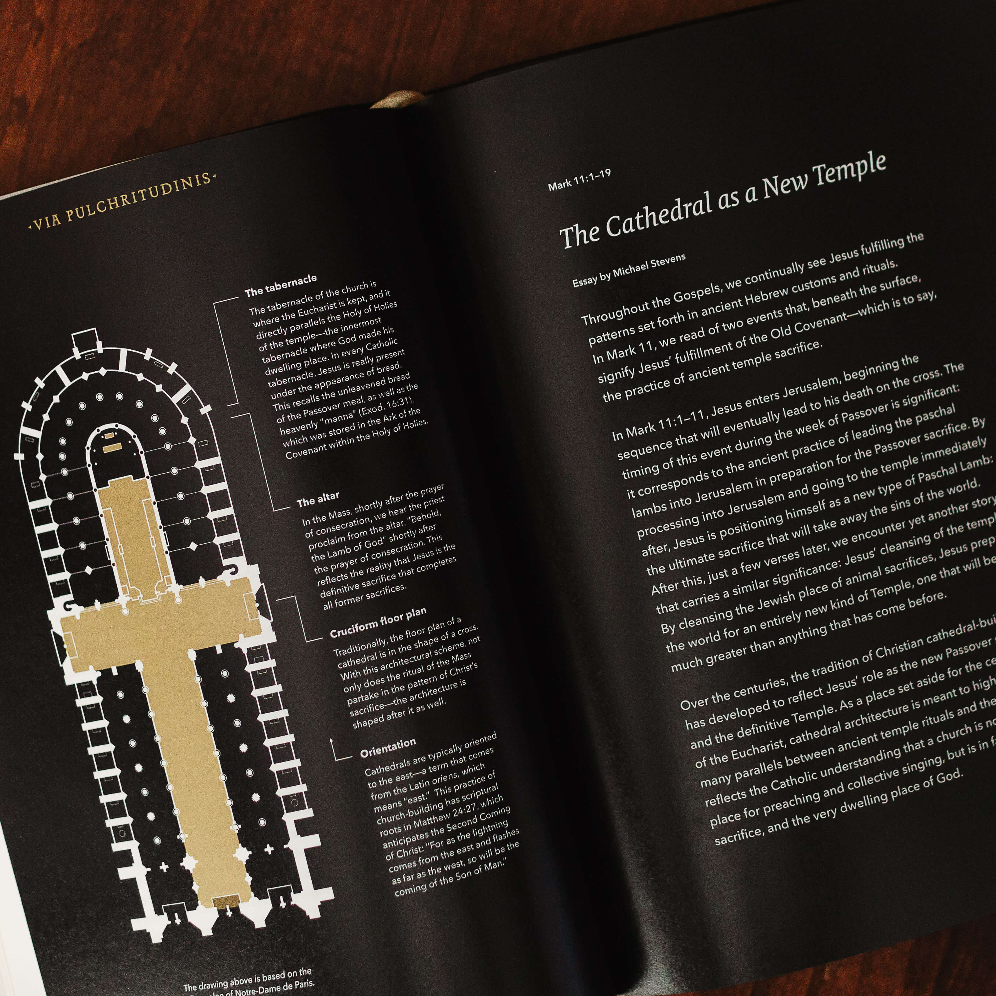 The Word on Fire Bible (Volume I): The Gospels - Image 9